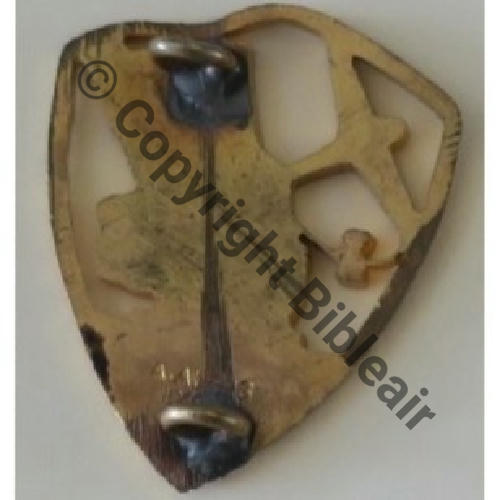 514 GAO.1.514 LYON 1939   TALLARD BLEU VISAGE ROSE CLAIR  A.AUGIS LYON 2Lign 2Anneaux Dos lisse Src.Y.GENTY Collect JM 